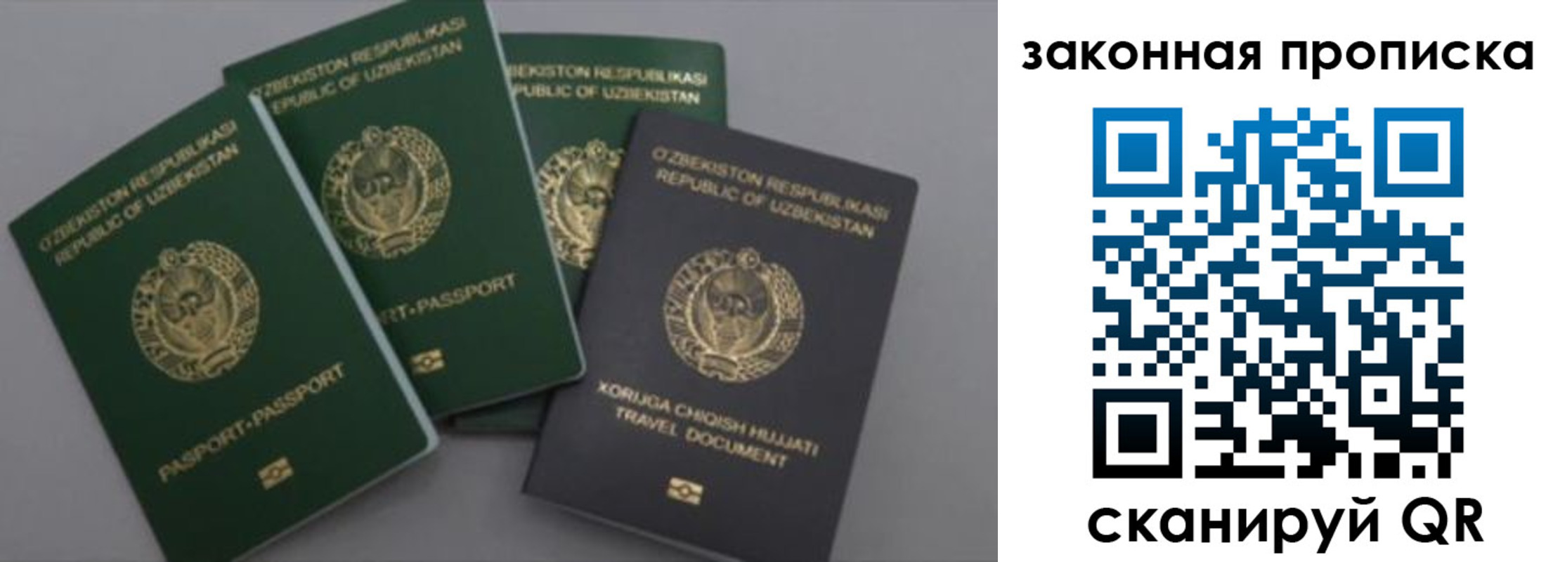 прописка законно в Талдоме